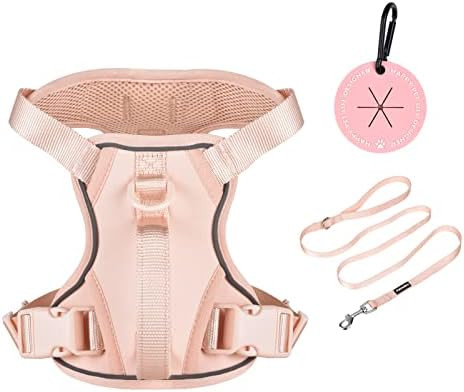 Petmolico Dog Harness for Small Medium Dogs No Pull, Cute Dog Harness with Two Leash Clips and So... | Amazon (US)