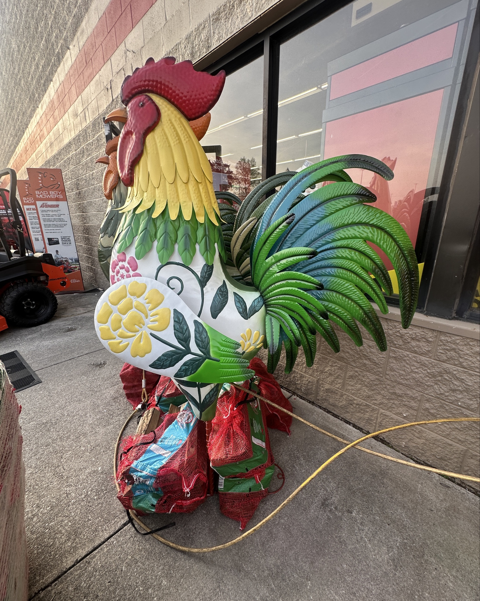 GUILTY!!!! I am sooo obsessed with these Giant Roosters from Tractor Supply!!! I want them all! 🤷🏼‍♀️

Linked ⬇️ 

#LTKmomlife #LTKdayinmylife #LTKHome