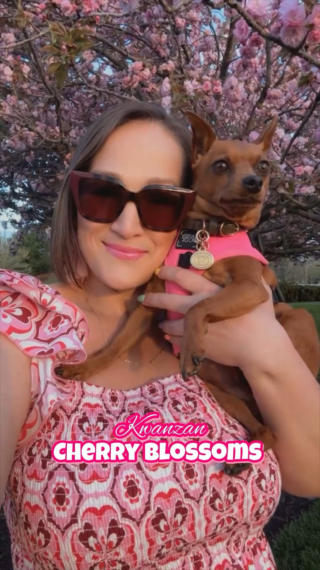 No better way to spend the day enjoying spring blooms with my bestie, dressed to perfection!! 

#LTKSeasonal #LTKmidsize #LTKover40