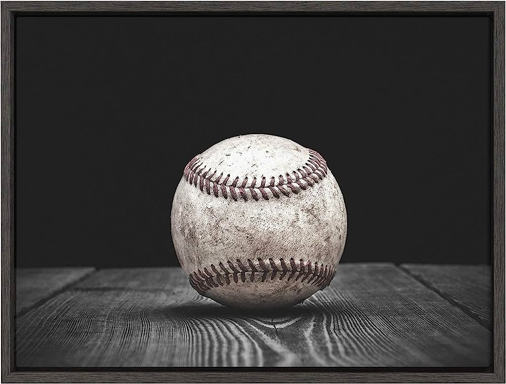 DesignOvation Sylvie Vintage Baseball Framed Canvas by Shawn St. Peter, 18x24 Dark Grey, Transiti... | Amazon (US)