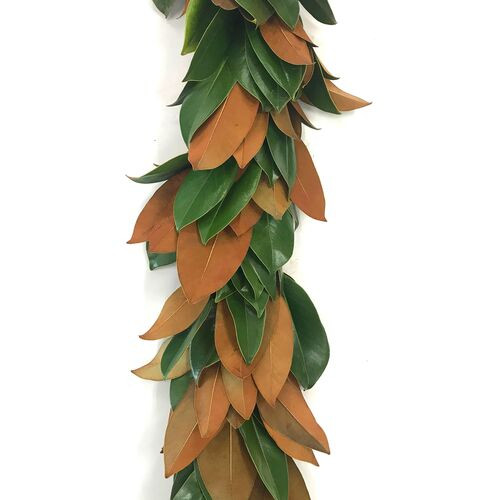 6' Magnolia Garland, Live | One Kings Lane
