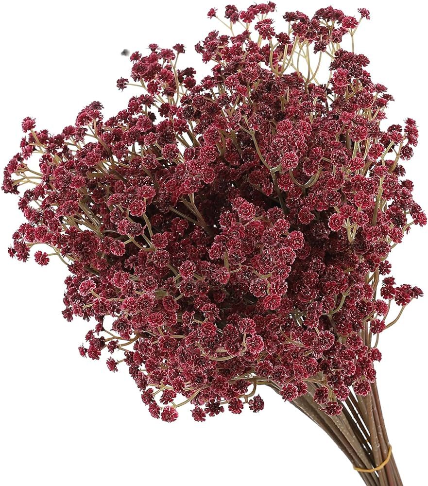 XIUER 10PCS Gypsophila Floral Vintage Artificial Babies Breath Flowers Bulk Real Touch Flowers fo... | Amazon (US)