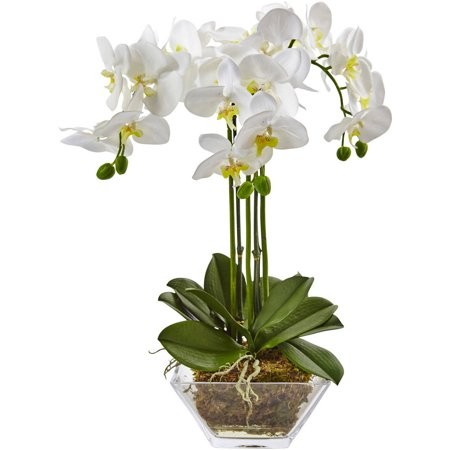 Nearly Natural Triple Phalaenopsis Orchid in Glass Vase | Walmart (US)
