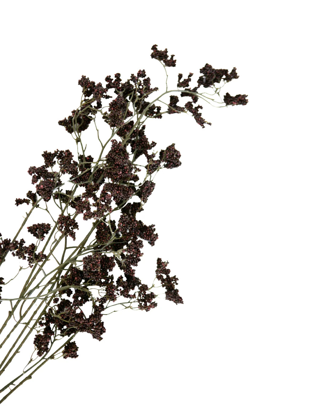 Merry Seeded Spray | Elements by Remedy