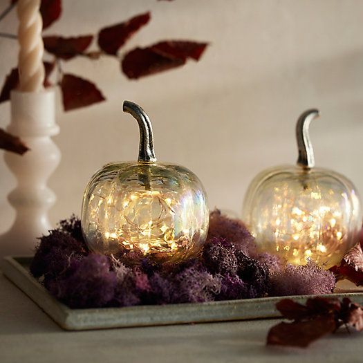 Glass Pumpkins, Set of 2 Pearlescent | Terrain
