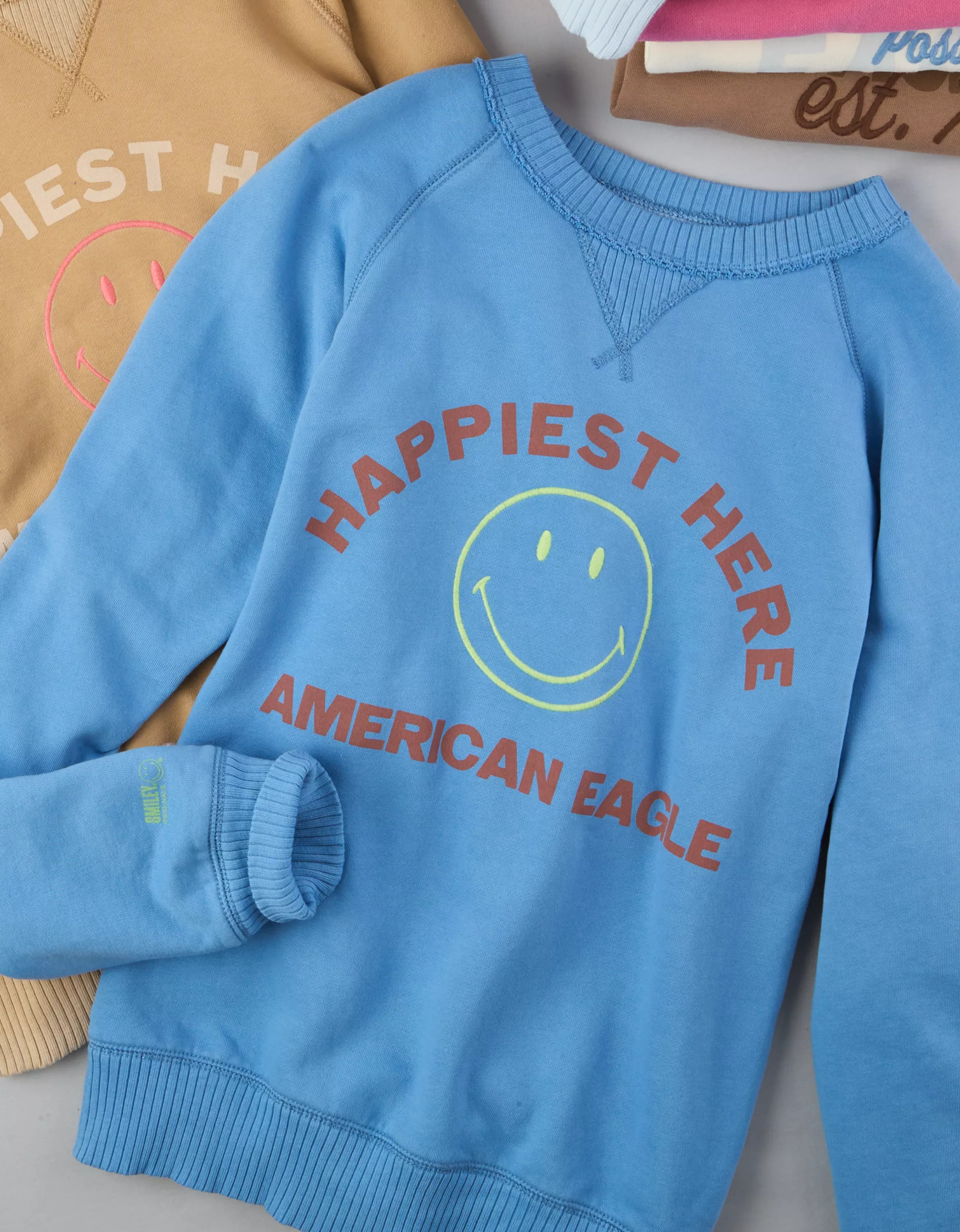AE Funday Graphic Sweatshirt | American Eagle Outfitters (US & CA)