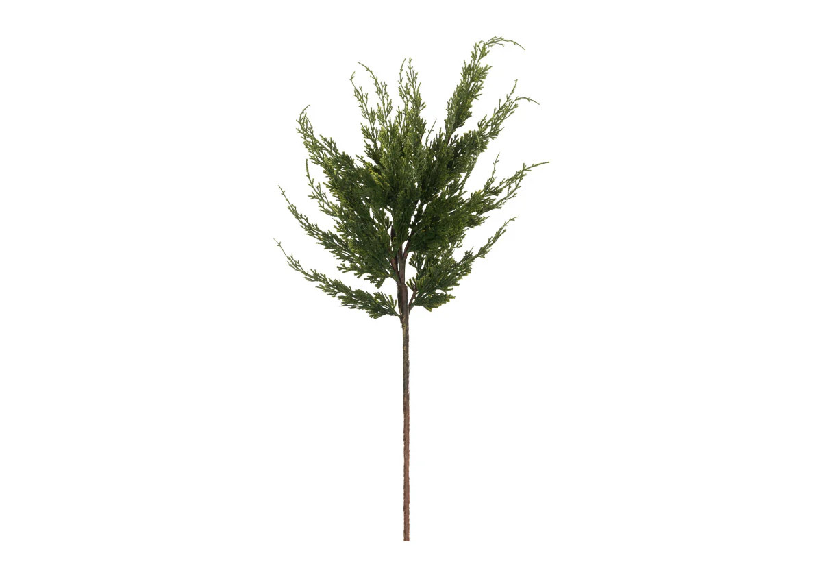 DARK FIR STEM | Alice Lane Home Collection