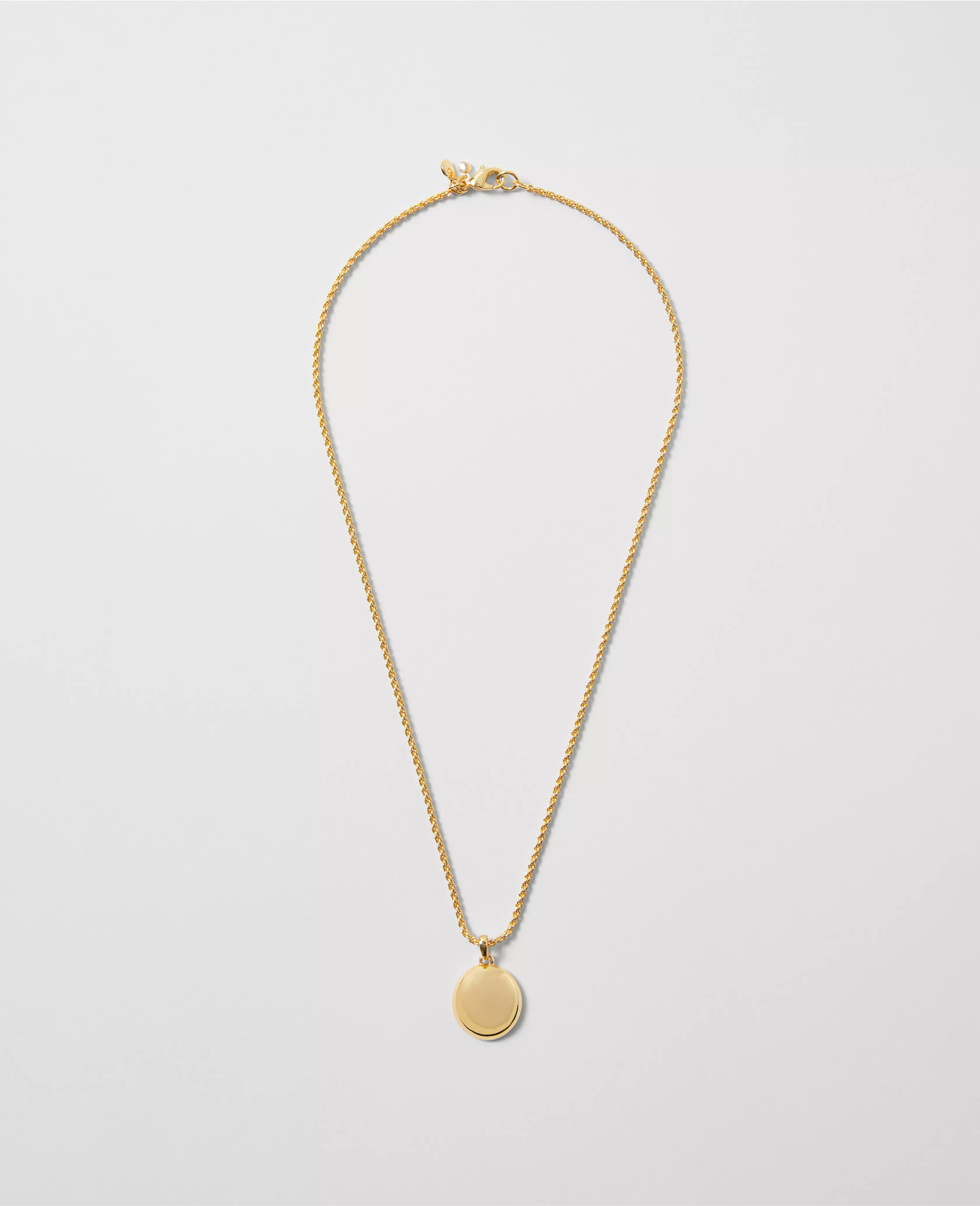Rope Chain Pendant Necklace | Ann Taylor
