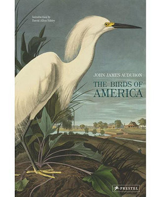 Barnes & Noble The Birds of America by John James Audubon - Macy's | Macy's