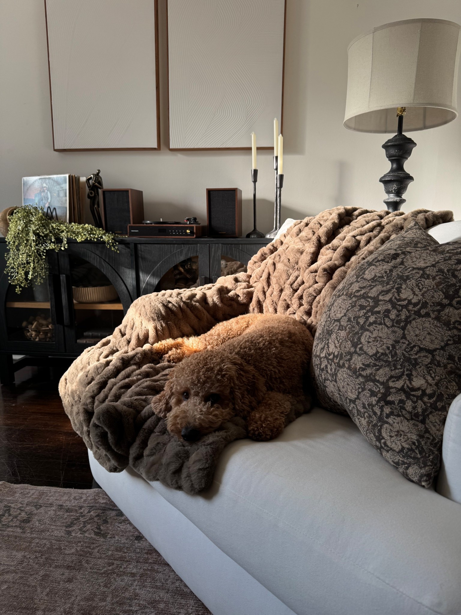 living room finds! 

#LTKFindsUnder50 #LTKHome #LTKautumn