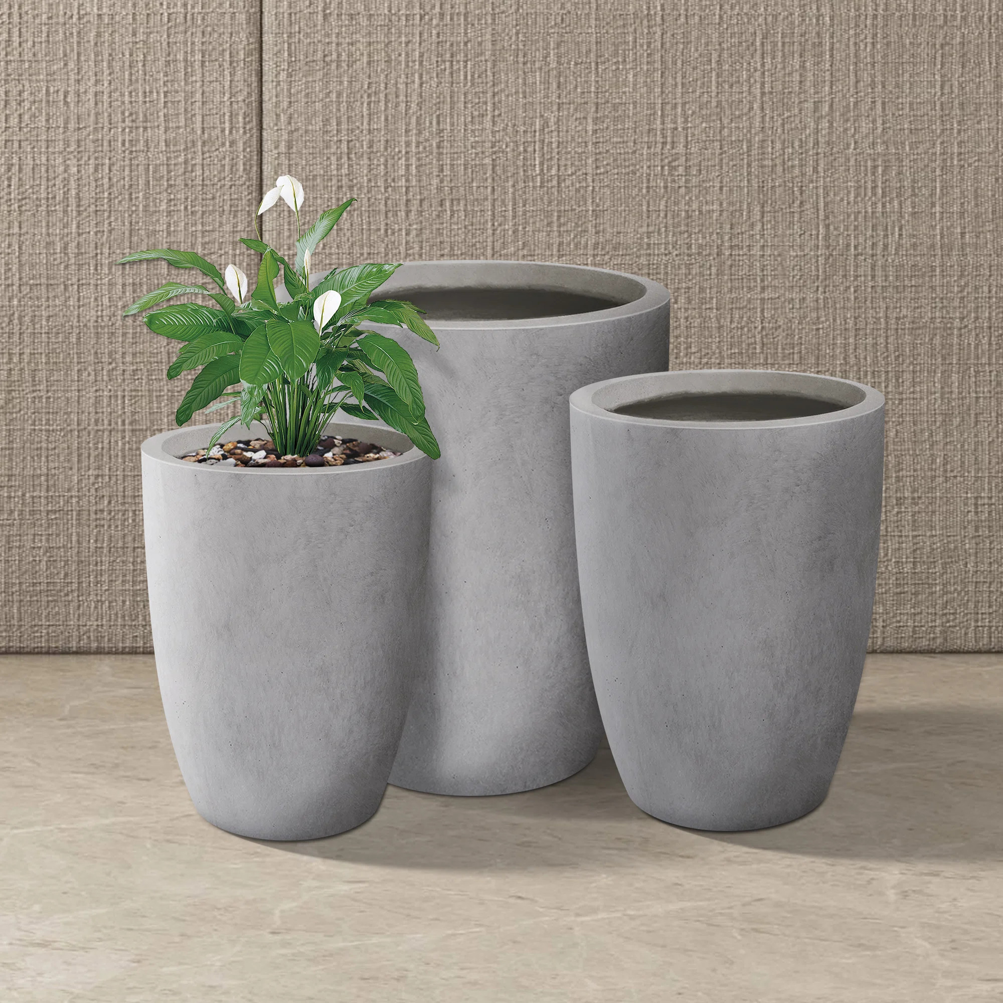 Kante 3 Piece Round Charcoal Finish Concrete Modern Tall Planters, Outdoor Indoor Decorative Plan... | Wayfair North America