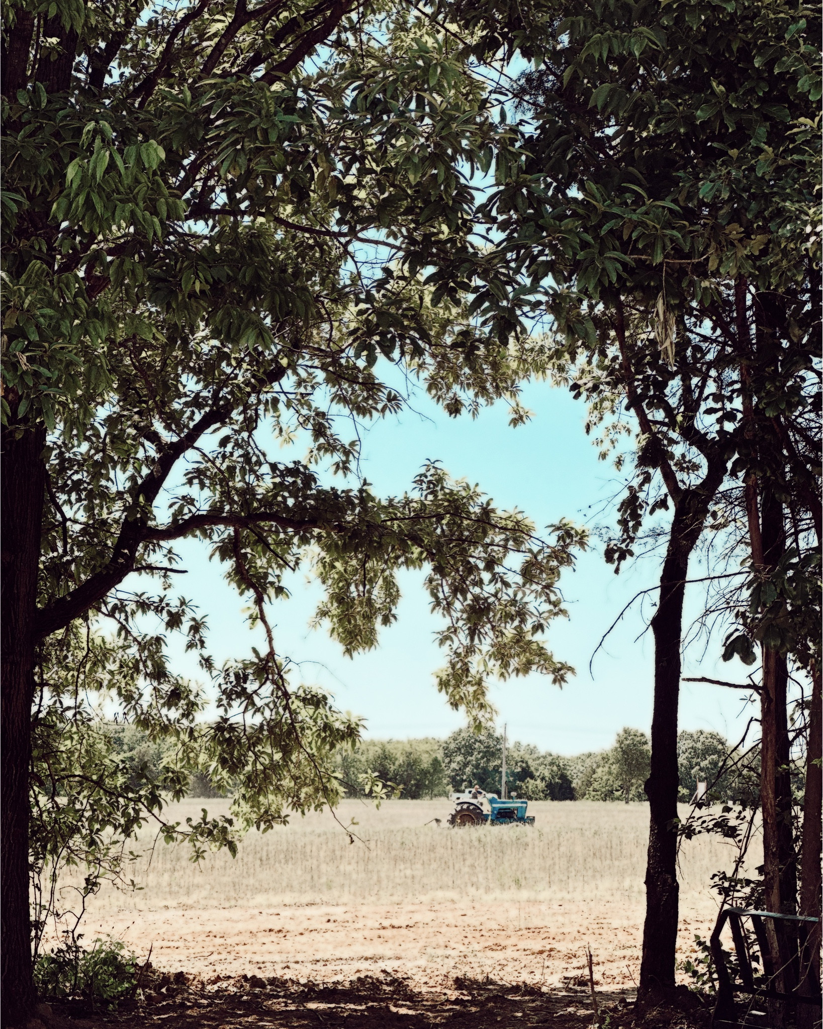 home decor finds I’m loving - things we will use for or new home build! 

#LTKU #LTKHome