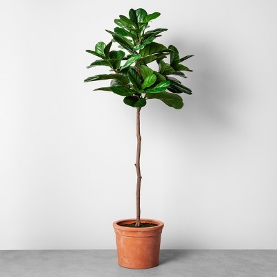 Faux Fiddle Leaf Plant in Terracotta Pot - Hearth & Hand™ with Magnolia | Target