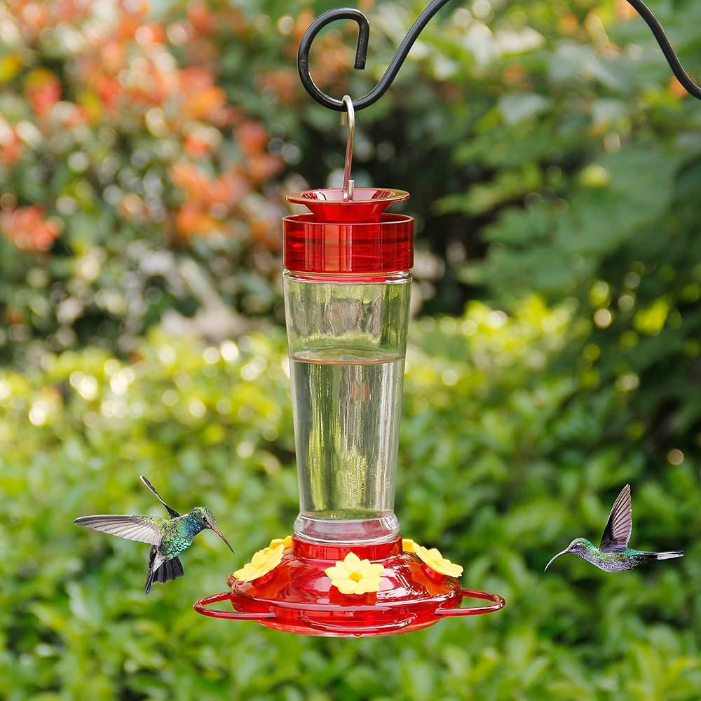 Shrdaepe Hummingbird Feeder, Glass Bottle Bird Feeders, 5 Feeding Ports, 10-Ounce Nectar Capacity... | Amazon (US)