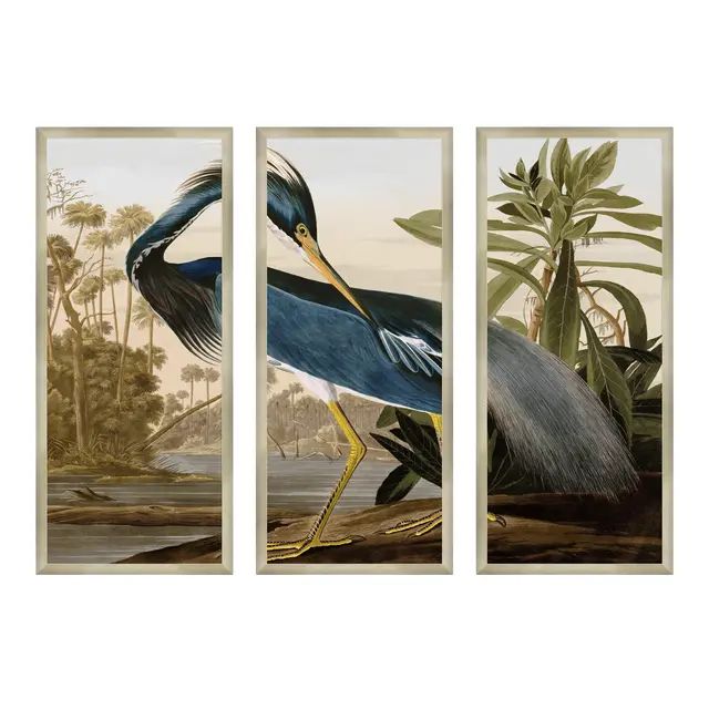 Contemporary Louisiana Heron Triptych After John James Audubon, Framed - Set of 3 | Chairish