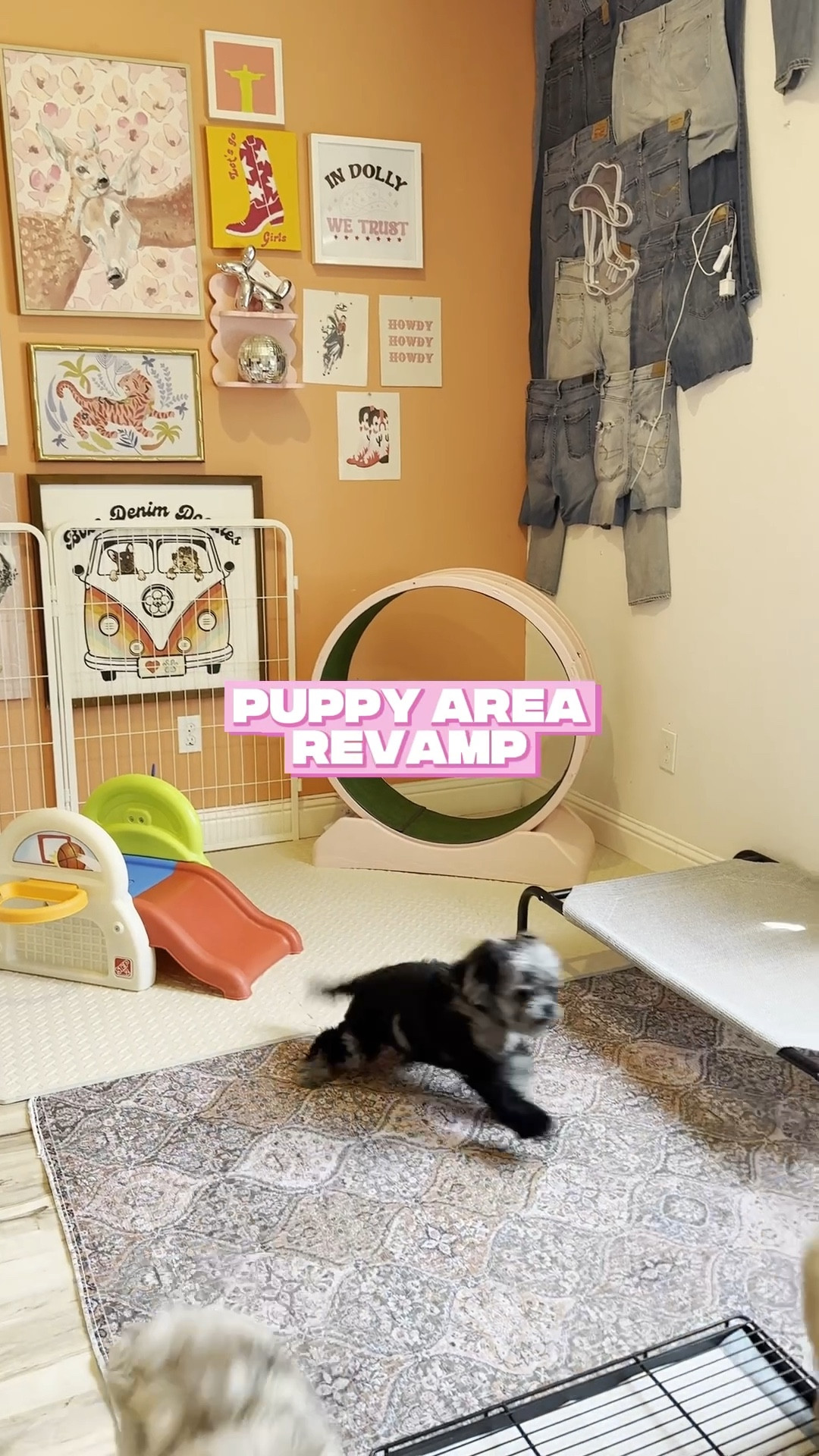 Puppy Room Revamp!!