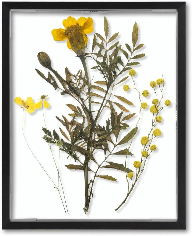 Frametory, Floating Picture Frame 8x10 - Black Metal Photo Frame - Real Glass - for Wall Mount or... | Amazon (US)