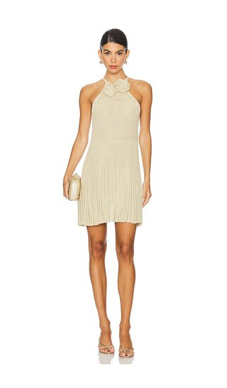 Lovers and Friends Nance Mini Dress in Neutral. - size XL | Revolve Clothing (Global)