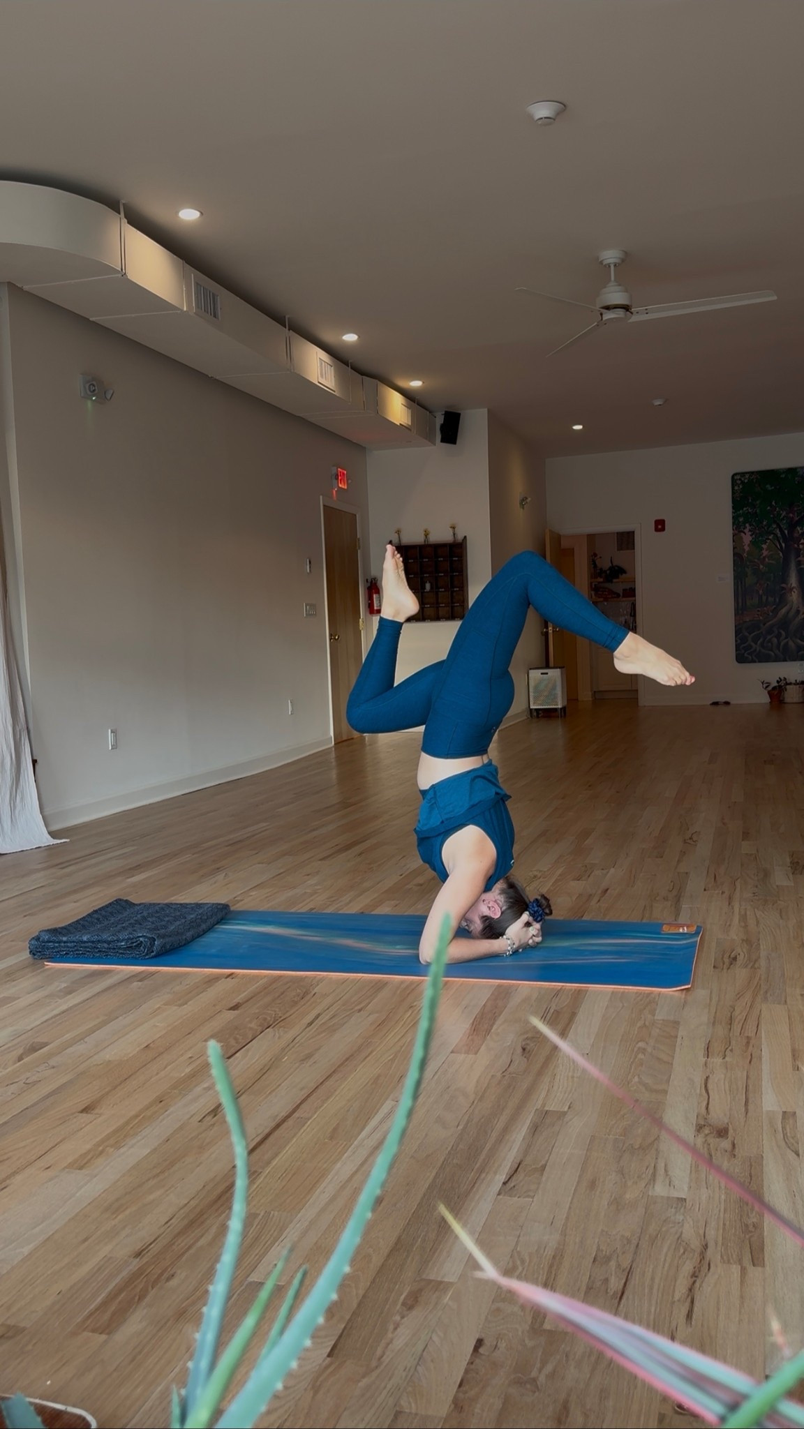 New yoga gear! Love this new seasonal color 💙

#LTKTravel #LTKActive #LTKSeasonal