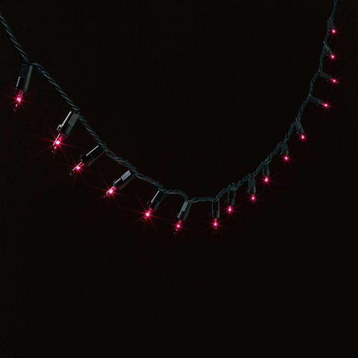 100ct Incandescent Smooth Mini String Lights - Wondershop™ | Target
