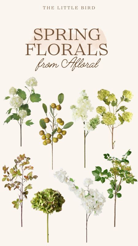 Spring florals from Afloral! These are my favorite high-end stems that will last you for years to come. You can beat the quality of Afloral!


#LTKhome #LTKSeasonal #LTKfindsunder100