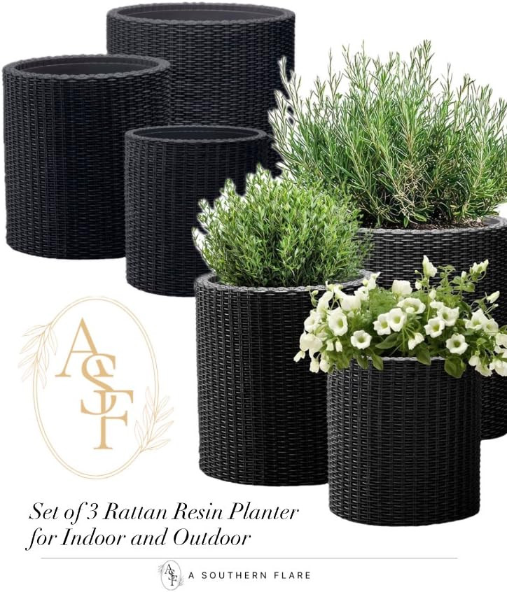 A Southern Flare Home's Amazon Page | Amazon (US)