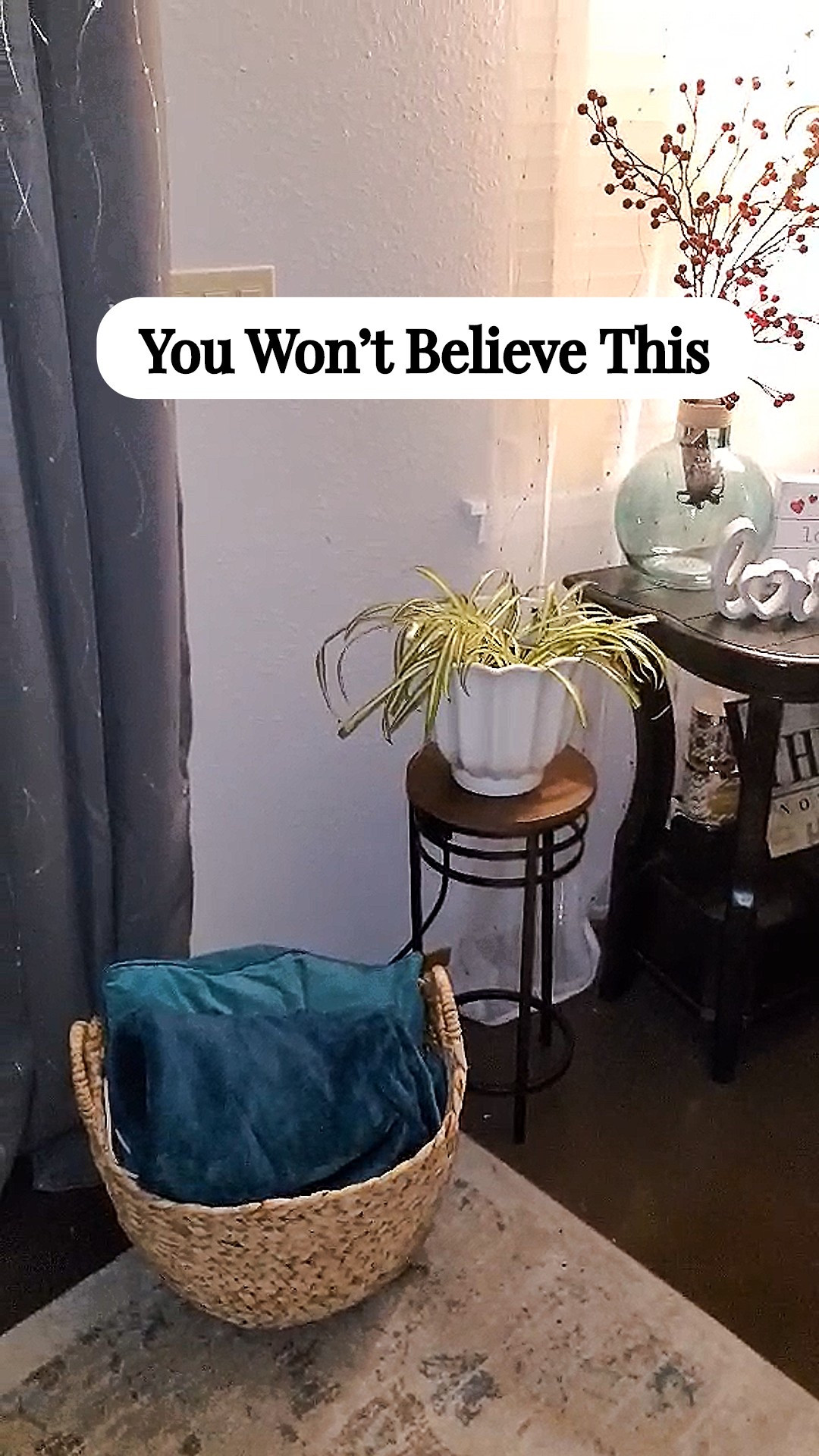 I repotted my spider plant and found this amazing pot -looks ceramic, it’s not! And it’s less than $10! 🙋‍♀️
Ps I used @Sol Soils to replant and my plant LOVES it. No shock from repotting! 💖

Garden succulents pottery barn Walmart Amazon affordable budget Target wayfair Lowe's

#LTKdayinmylife #LTKSaleAlert #LTKHome