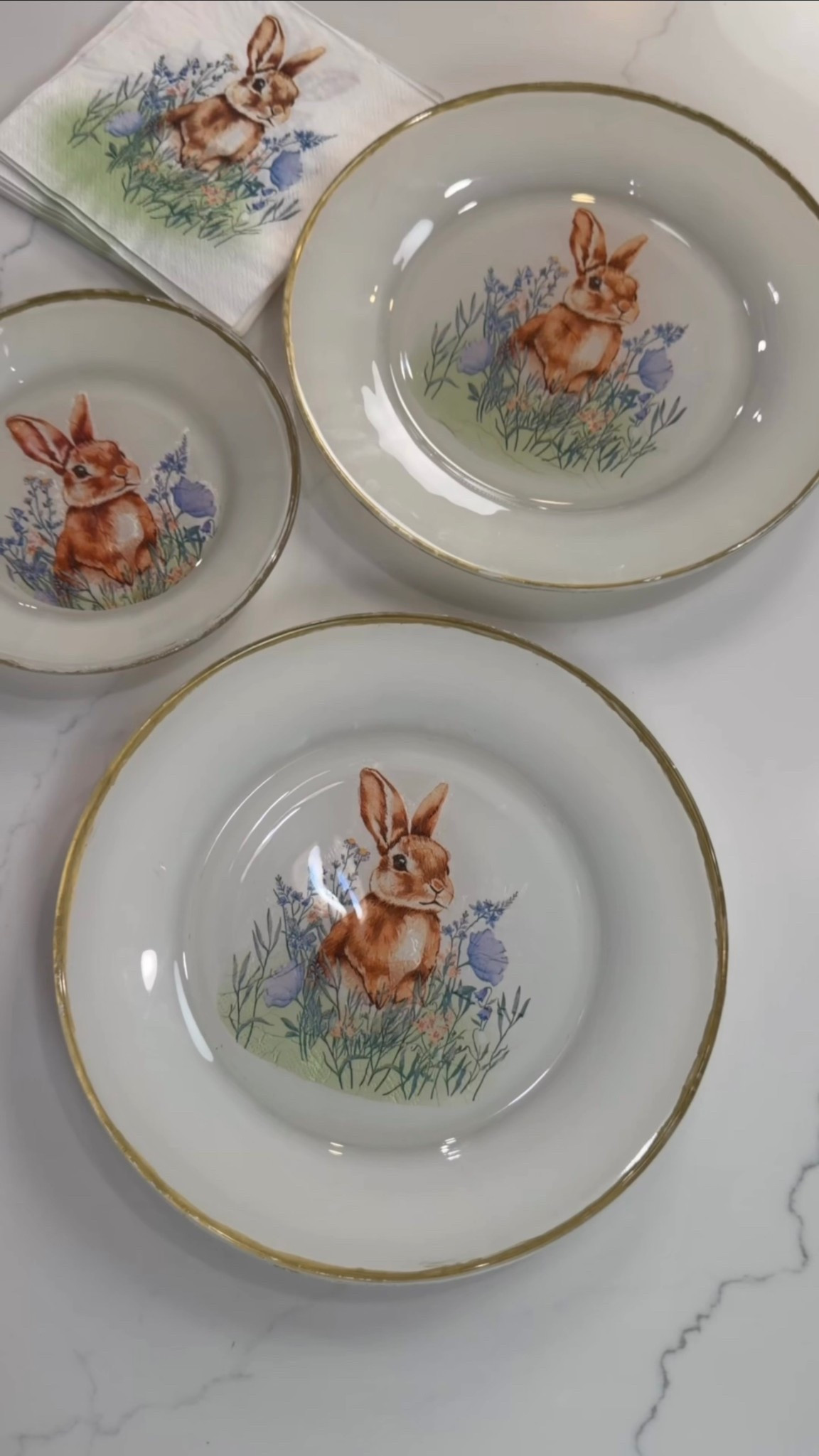 🐰🎨 The sweetest little spring craft idea!

I turned simple clear plates into the cutest bunny plates using paper napkins and Mod Podge, and they came out so adorable for spring. The little bunny design gives them such a soft seasonal look that’s perfect for Easter tables, spring brunch, or even styled on a shelf or kitchen counter.

It’s such a fun and easy craft that makes a big impact, and I love how the gold rim detail makes them feel a little extra special.

I linked a similar set of clear plates along with the supplies I used so you can recreate these for your own spring decor. 🫶🌸

#SpringCraft #EasterDIY #BunnyDecor #SpringDecor #EasterCraft #DIYCrafts #SeasonalDecor #CraftIdeas #LTKFamily

#LTKHome #LTKSeasonal