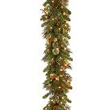 Amazon.com: National Tree Company Pre-Lit Artificial Christmas Garland, Green, Wintry Pine, White... | Amazon (US)
