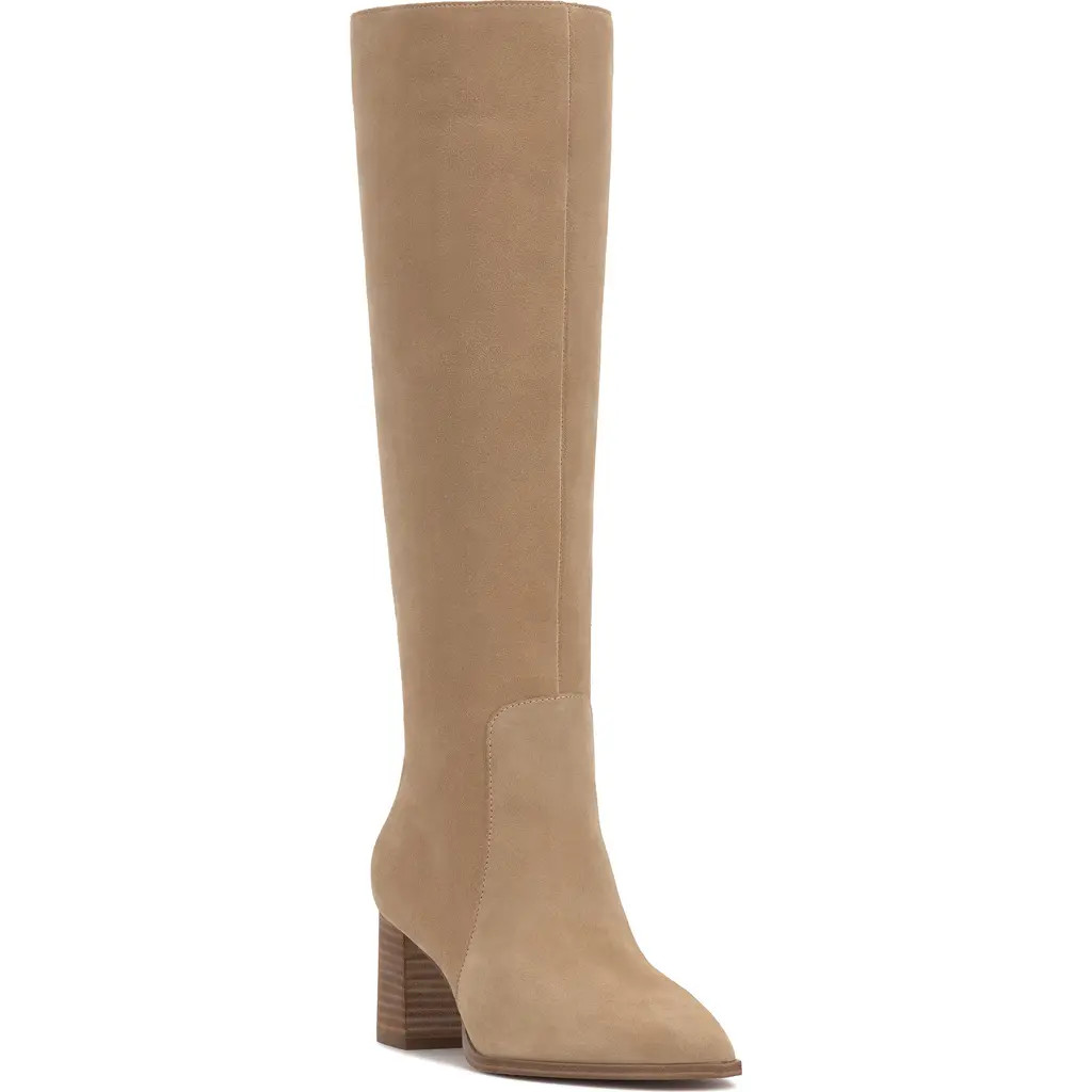 Lumina Pointed Toe Boot (Women) | Nordstrom