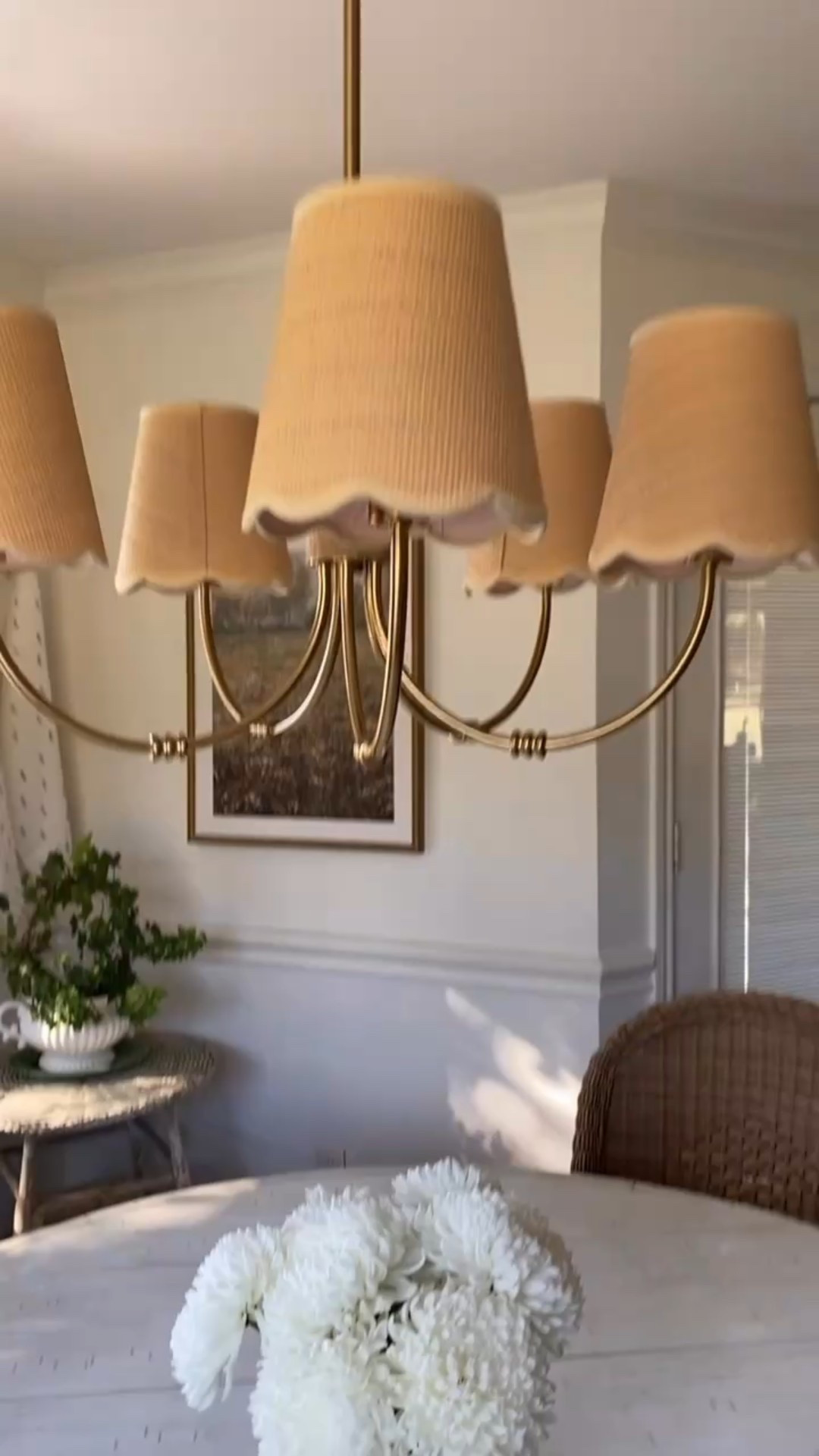 New lighting in my breakfast nook!
#chandelier #lighting

#LTKHome #LTKSaleAlert