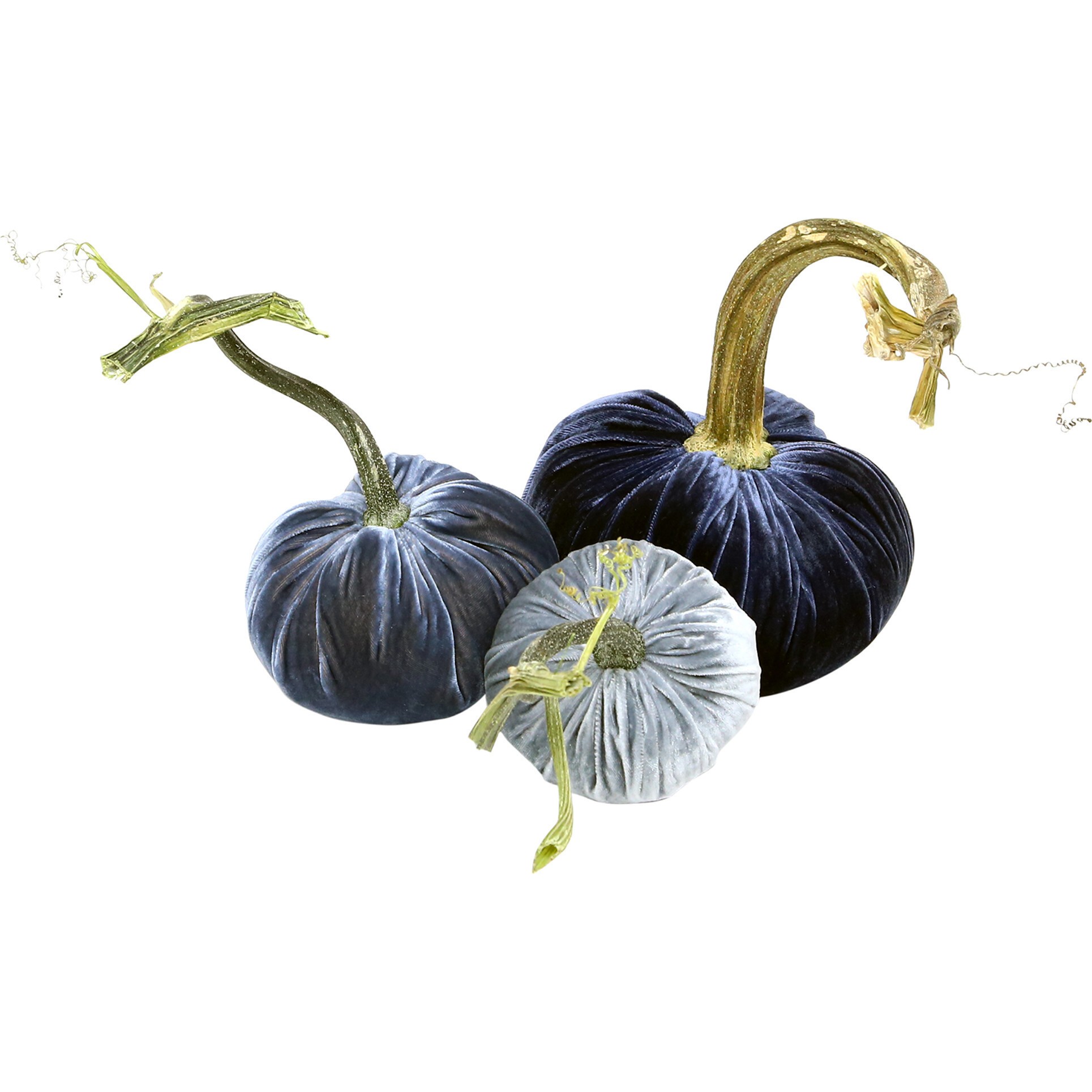 Exclusive Pumpkin Trio, Blue | Maisonette