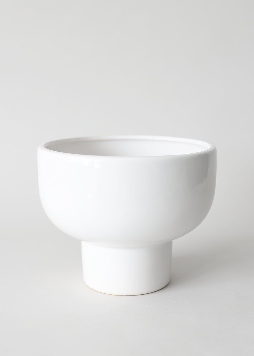 Orion Compote Flower Pot - 6.5" | Afloral (US)