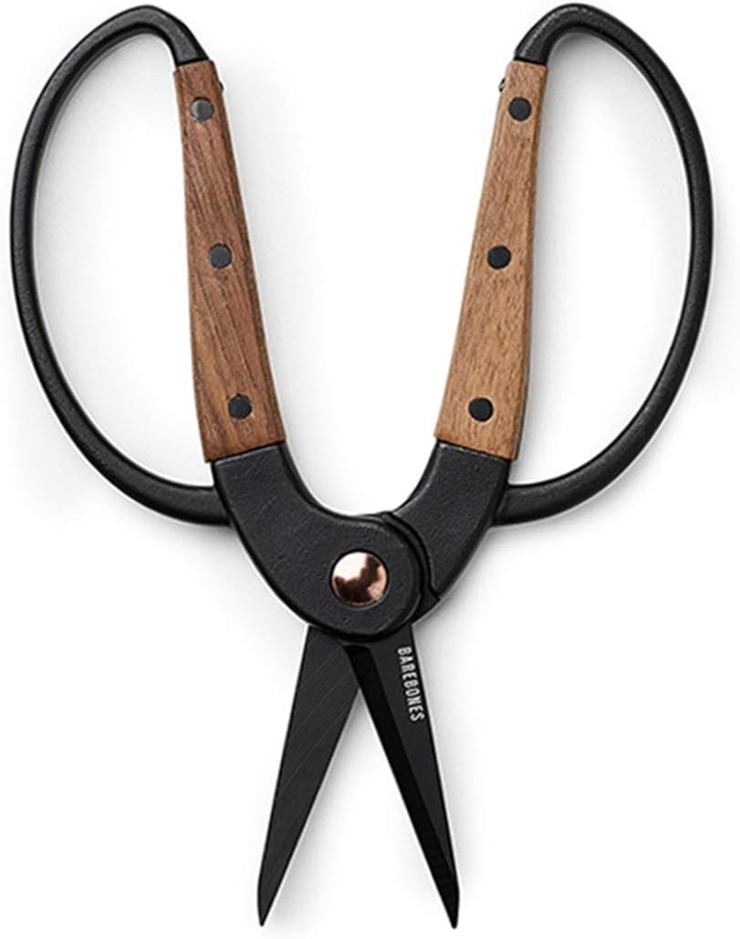 Barebones Garden Scissors - Walnut Scissors - Garden Supplies and Indoor Plant Accessories - Plan... | Amazon (US)