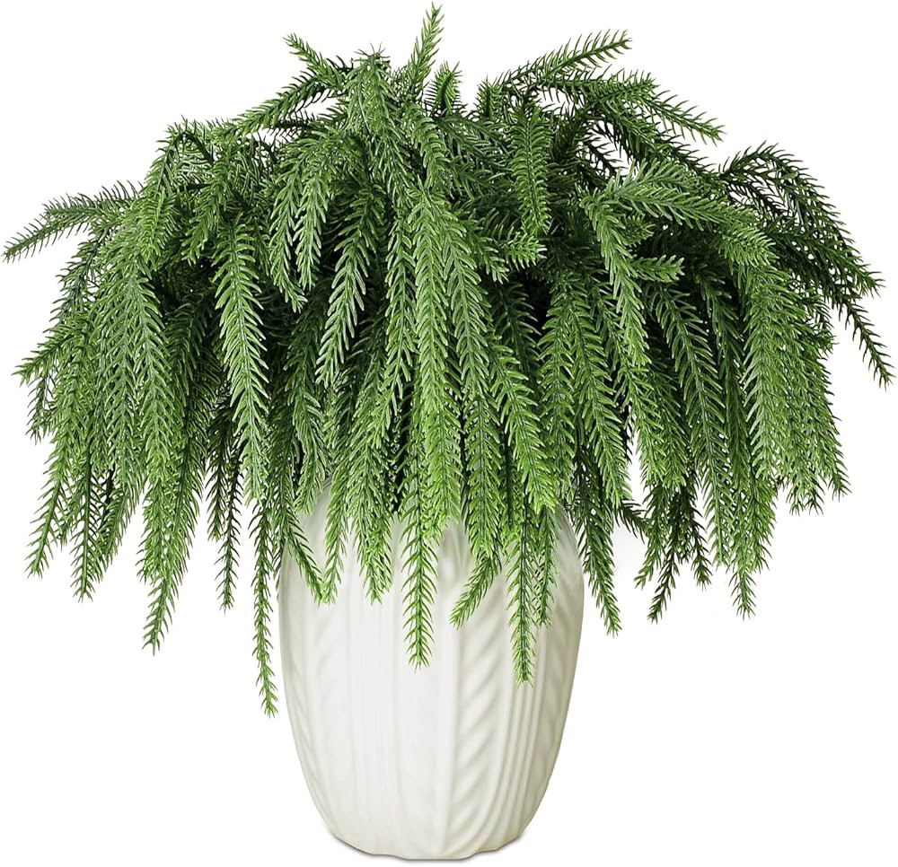 SAREAL 24 Pcs Christmas Norfolk Pine Branches, Real Touch Norfolk Pine Artificial Christmas Branc... | Amazon (US)