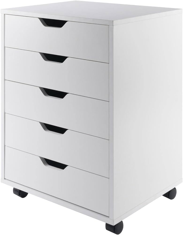 Winsome Halifax Storage/Organization, 5 drawer, White | Amazon (US)