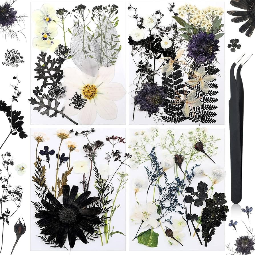 Amazon.com: Pressed Flowers Resin Flowers for Resin Mold, Real Daisy Dried Flower Leaves Natural ... | Amazon (US)