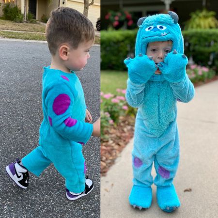 I’ve also purchased a few Sulley costumes over the years- the one on the right is SO soft. Disney Pixar Monsters Inc. Halloween costume ideas. Kids Halloween -baby Halloween.

#LTKbaby #LTKkids #LTKHalloween