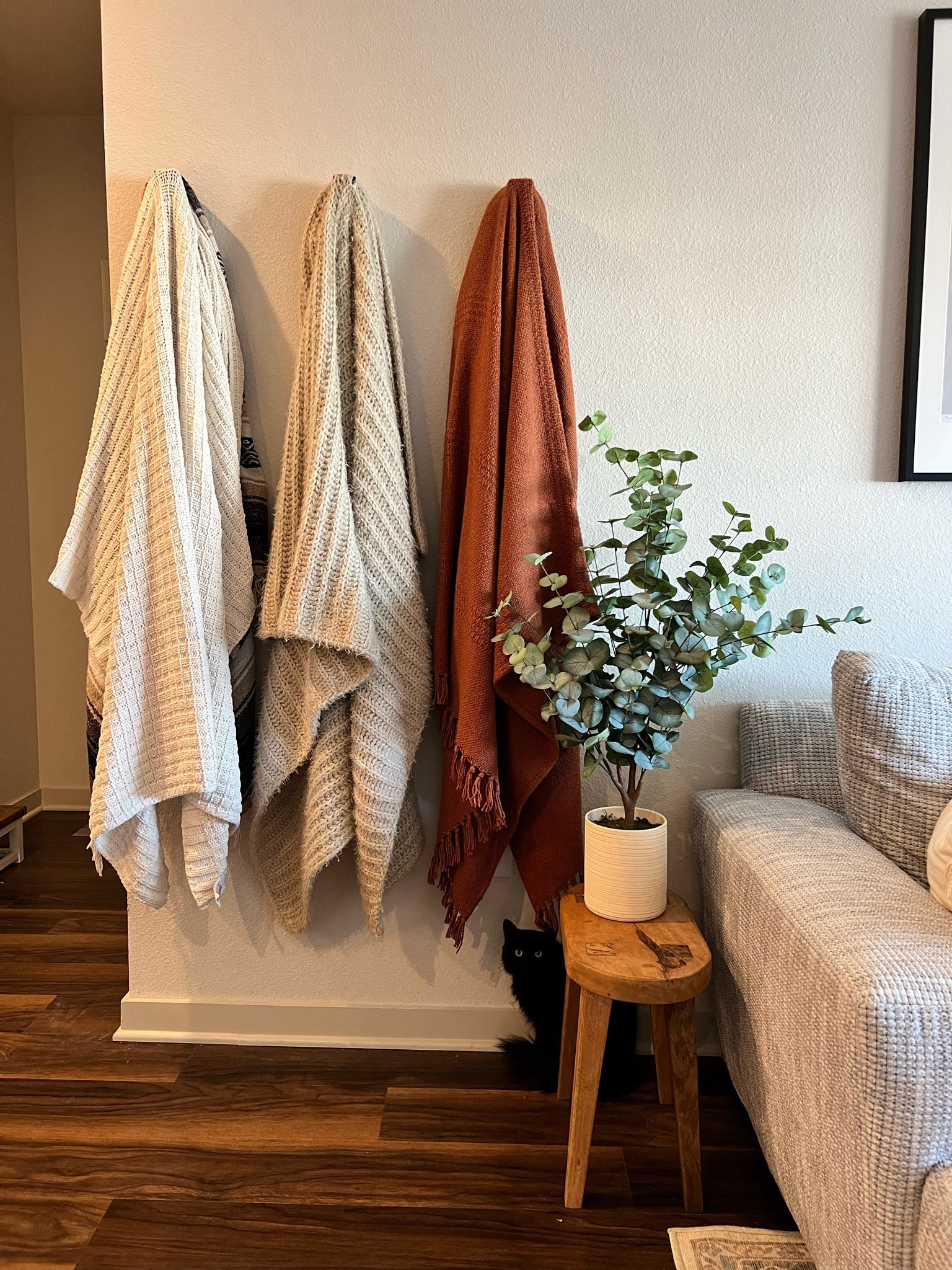 Living Room - Blanket Wall - Unique Blanket Idea - Amazon Hooks - Amazon Blanket - Target Blanket - Wood decor stool - Target Indoor Plant

#LTKstyletip #LTKhome #LTKfindsunder50