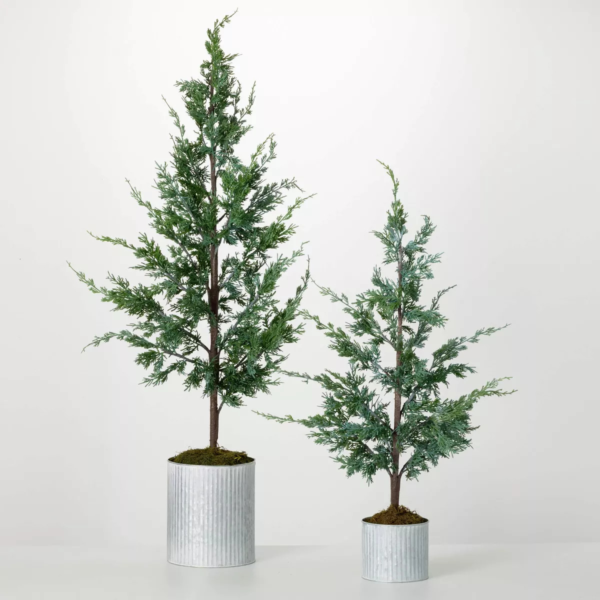 38"H & 54"H Sullivans Artificial Potted Cypress Christmas Tree Set of 2  Green  Indoor Christmas ... | Target