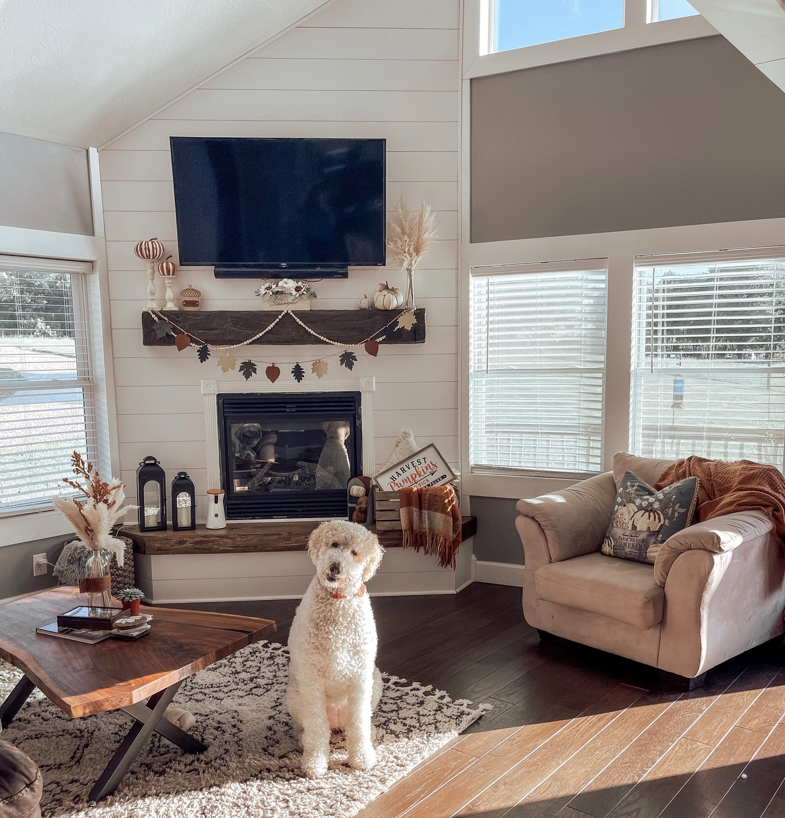 Fall home. Cozy. Fall decor. Halloween. Fall Mantle decor. Pumpkins. Hobby lobby decor. Target fall. 

#LTKhome #LTKHalloween #LTKSeasonal