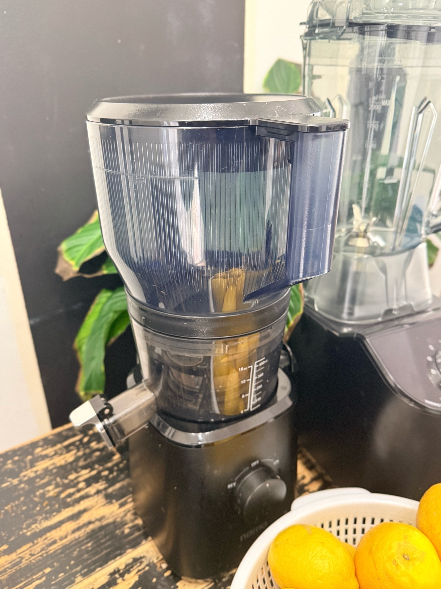 GIVE HER THE GIFT OF HEALTH! 🍎✨

Skip the gifts that she’ll use once and give her something she can use ALL year long! A good juicer is the gift that keeps on giving, helping her make fresh juice and build healthier habits right at home.

#JuicingWithPriiincesss #NamaJ2 #HealthyLiving #GiftIdeas

#LTKHome #LTKfoodie #LTKselfcare
