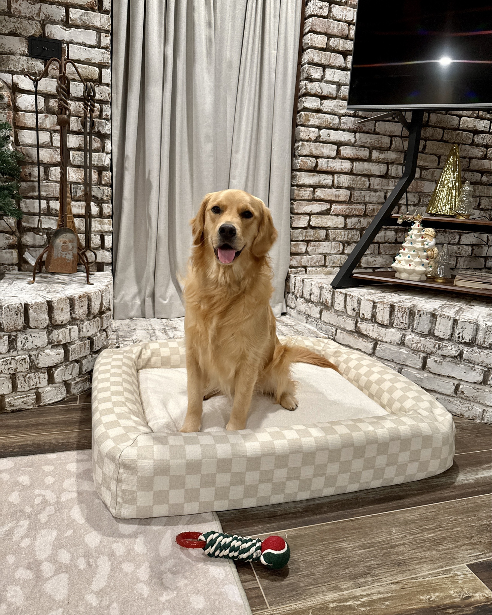 The cutest dog bed + it’s washable 🤪😍 #ruggable #dogbed #dogs #home

#LTKGiftGuide #LTKHome #LTKFamily
