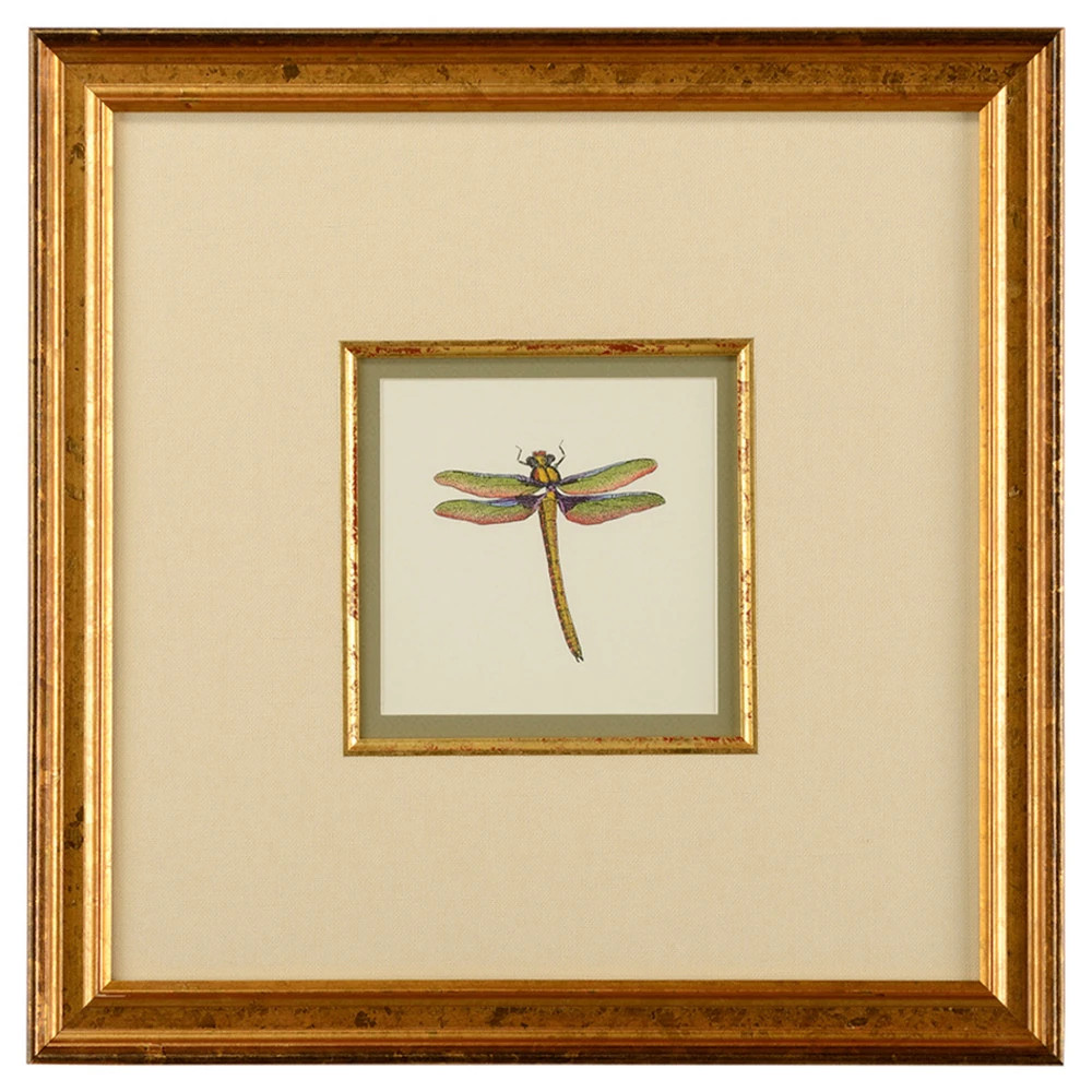 Astrid Updated Traditional Green Dragonfly Gold Frame Illustration I - 19x19 | Kathy Kuo Home