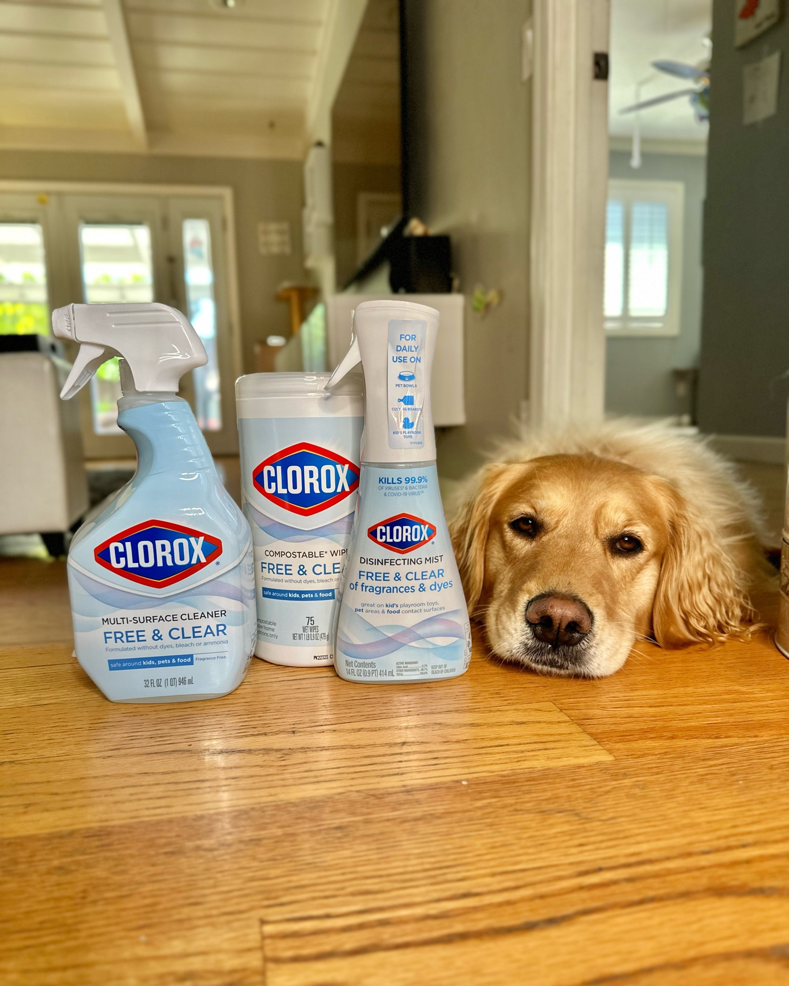 Clorox Free & Clear are worry-free products designed to be safe around kids, pets, and food.  Clorox Free & Clear comes in Compostable* Wipes, Disinfecting Mist and Multi-Surface Cleaner.  You can find these products and more @Target and below.  #Clorox #cloroxdisinfectingmist #target #targetpartner #ad @Clorox @Target  Use as directed (*for home composting only)

#LTKhome #LTKfamily #LTKFind