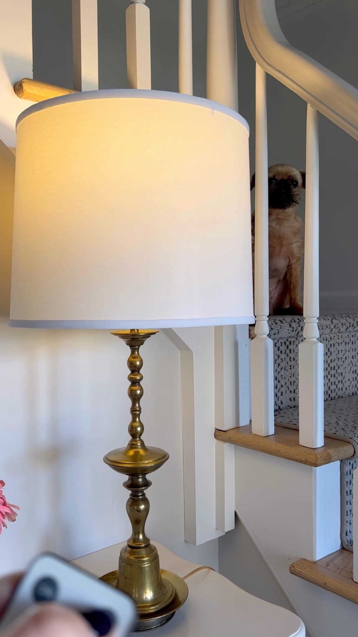 The best magic light trick 💡

#LTKFind #LTKhome #LTKunder50