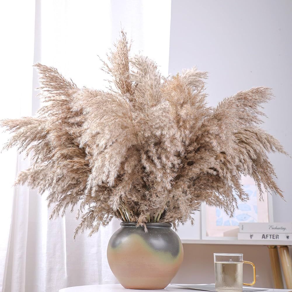 28" inch 20 Stems Large Brown Pampas Grass Decor Tall - Natural Fluffy Pompas Grass Bulk Tall Pam... | Amazon (US)