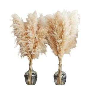 40 in. 10 Stems Natural Pampas Grass Home Decor, Tall Pampas Grass | The Home Depot