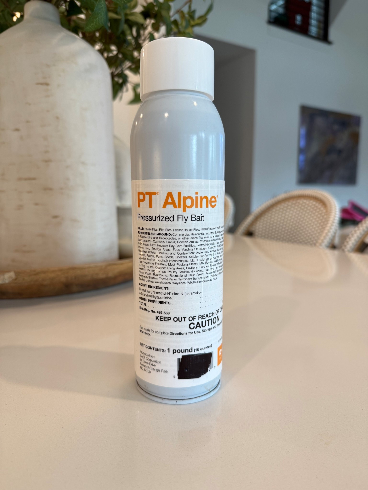 Fly bait, bug spray, home tips, home tricks, pest control 

#LTKFamily