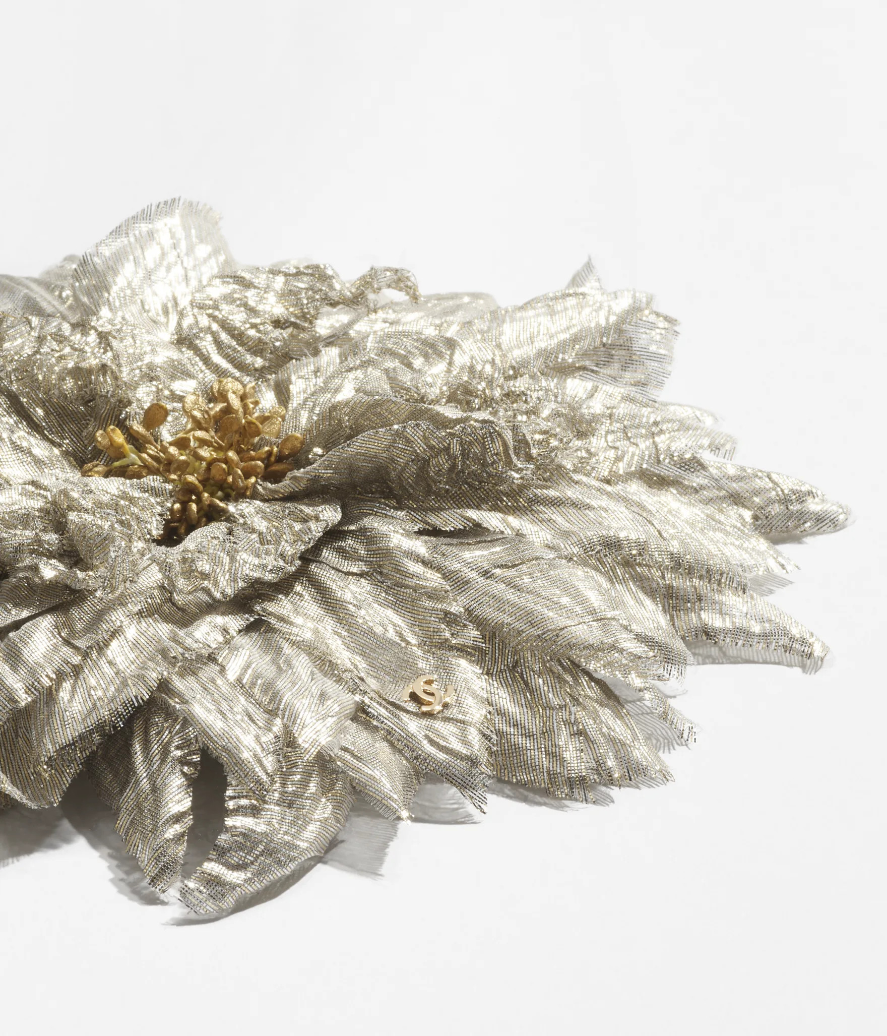 #hash-Racicld6 {
		object-fit: cover;
		aspect-ratio: auto;
		object-position: top center;Spring-... | Chanel, Inc. (US)